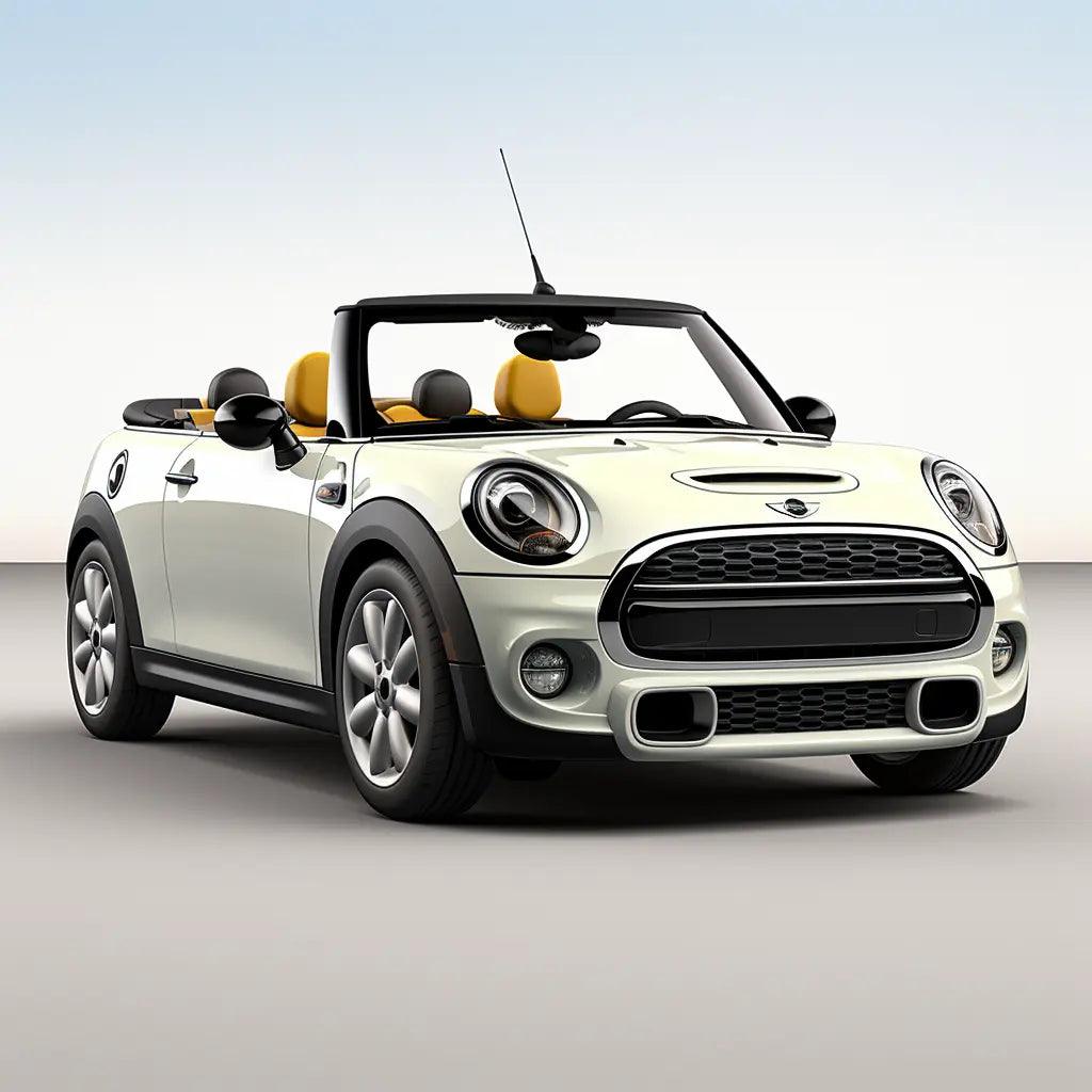 Mini Cabrio - AutoWin