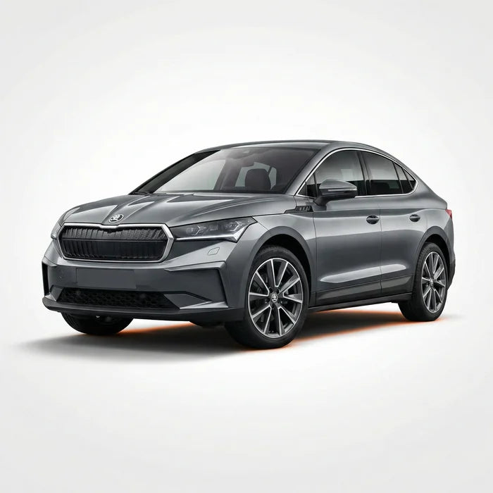 Skoda Floor Mats Collection